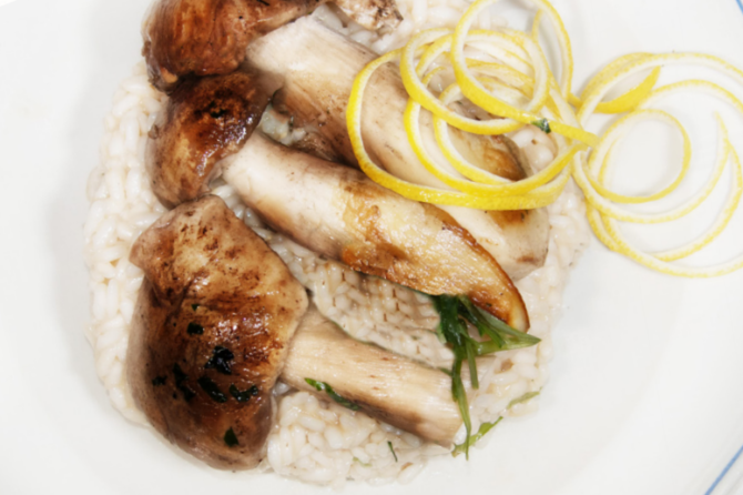 RISOTTO AI PORCINI